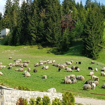 Enjoy The Silence Holiday Home Власич Экстерьер фото